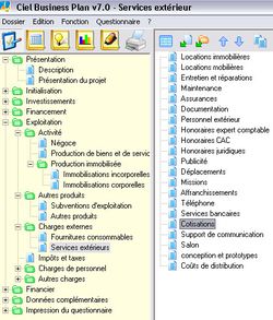 Ciel Business Plan screen 2