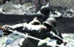 CoD 5 (6)
