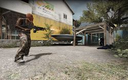 Counter Strike Global Offensive (6)