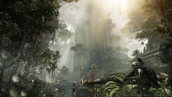 Crysis 3 - 3