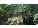 Crysis small