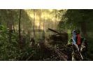 Crysis small