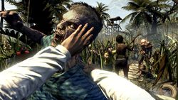 Dead Island (2)