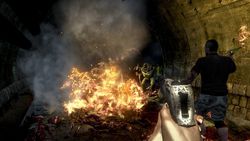 Dead Island (3)