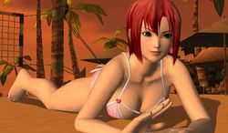 Dead or Alive Paradise (1)