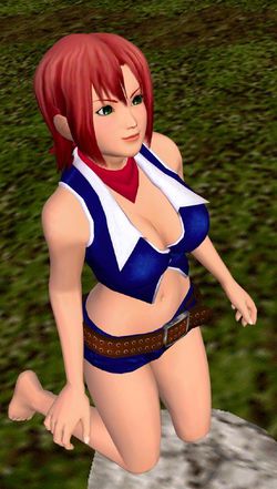 Dead or Alive Paradise - 2