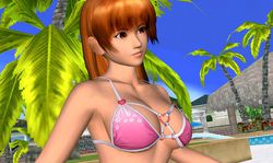 Dead or Alive Paradise (3)