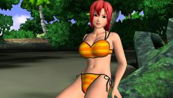 Dead or Alive Paradise - 3