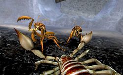 Deadly Creatures   Image 10