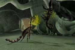 Deadly Creatures Image 1