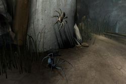 Deadly Creatures Image 2