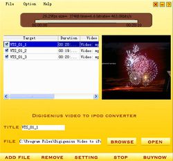 DigiGenius Video to iPod Converter screen