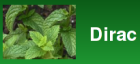 dirac_logo