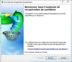 Disk Expert 10 Professionnel screen2