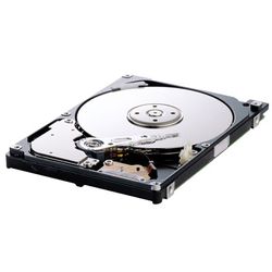 Disque dur Samsung M80 160 Go