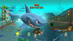 Dk bongo blast 6