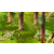 Dofus : deux ados de 15 ans accusés de contrefaçon du MMORPG