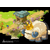 Ankama présente Dofus 2