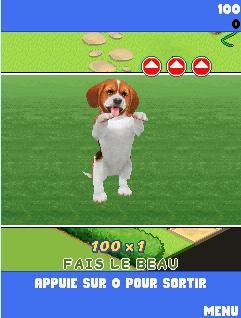 Dogz 2 01