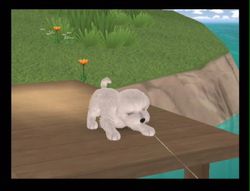 Dogz 2 Wii (23)