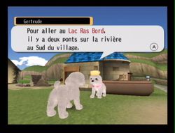 Dogz 2 Wii (34)