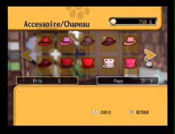 Dogz 2 Wii (48)