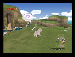 Dogz 2 Wii (50)