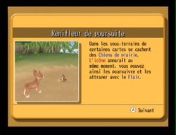 Dogz 2 Wii (52)