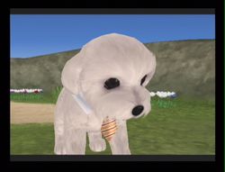 Dogz 2 Wii (54)