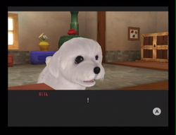Dogz 2 Wii (5)