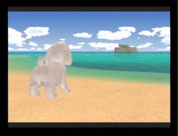 Dogz 2 Wii (62)