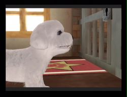Dogz 2 Wii (9)