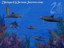 Dolphin Reef Screensaver