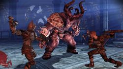 Dragon Age Origins - Image 44