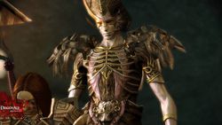 Dragon Age Origins The Awakening - Image 23