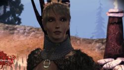 Dragon Age Origins The Awakening - Image 7