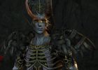 Dragon Age Origins The Awakening - Image 22