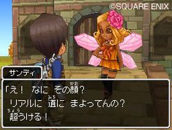 Dragon Quest IX (10)