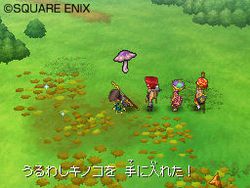Dragon Quest IX - 11