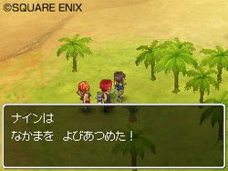 Dragon Quest IX - 14