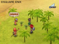 Dragon Quest IX - 15