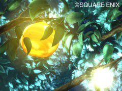 Dragon Quest IX (1)