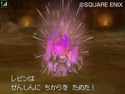 Dragon Quest IX - 22