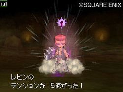 Dragon Quest IX - 23