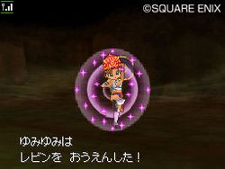 Dragon Quest IX - 24