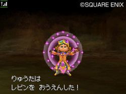 Dragon Quest IX - 25