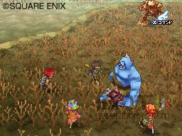 Dragon Quest IX - 2