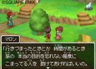 Dragon Quest IX (6)