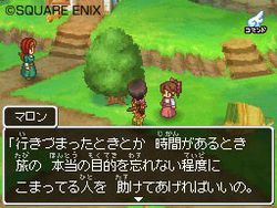 Dragon Quest IX (6)