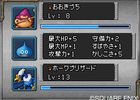 Dragon Quest Monsters : Joker - 11